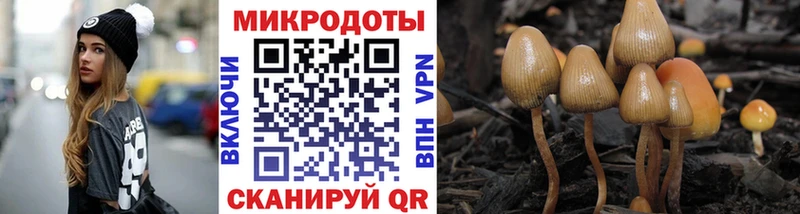 Галлюциногенные грибы мицелий  Купить где  Усть-Кут 